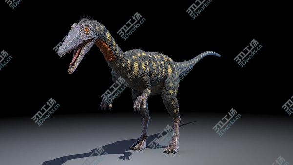 images/goods_img/20210312/3D model Coelophysis/3.jpg